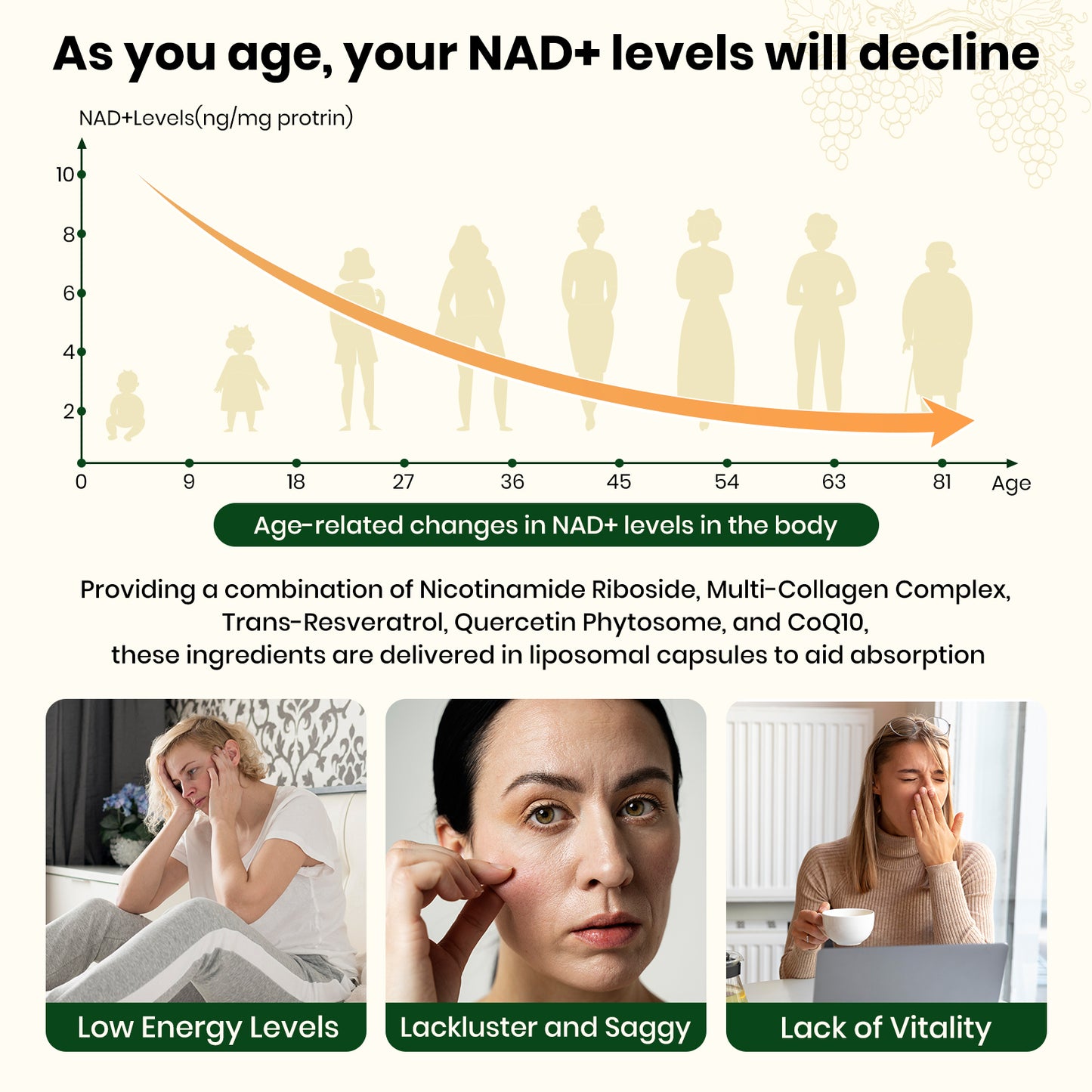 VEV 120 Capsules NAD+ Supplement -Liposomal