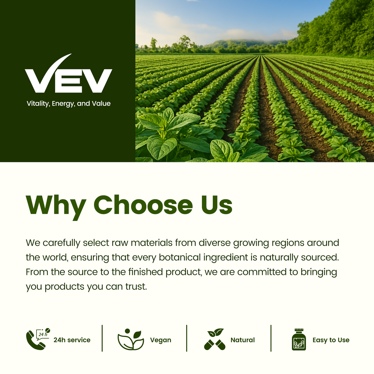 VEV Oil of Oregano with Black Seed Oil & Moringa