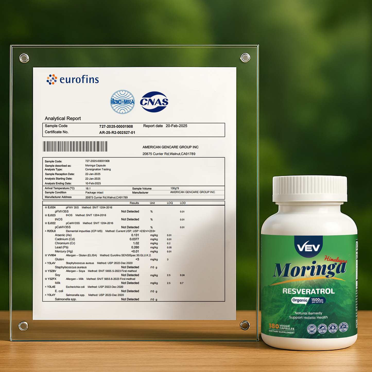 VEV Moringa Powder Capsules
