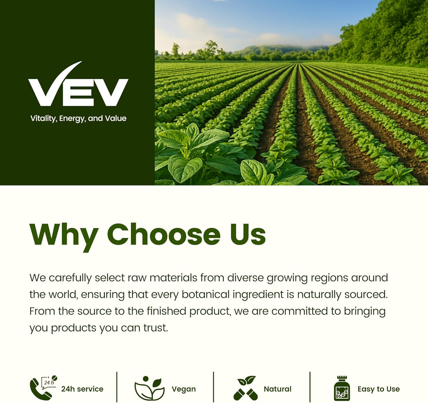 VEV Oil of Oregano with Black Seed Oil & Moringa