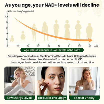 VEV 120 Capsules NAD+ Supplement -Liposomal