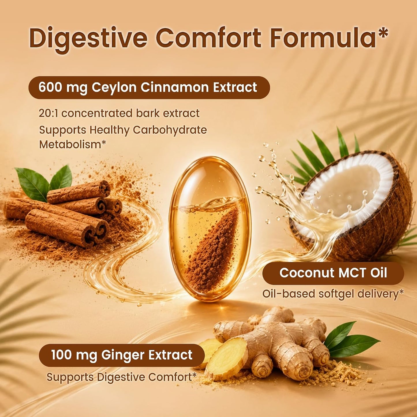 Ceylon Cinnamon with MCT Oil & Ginger, 20:1 Extract