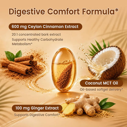 Ceylon Cinnamon with MCT Oil & Ginger, 20:1 Extract
