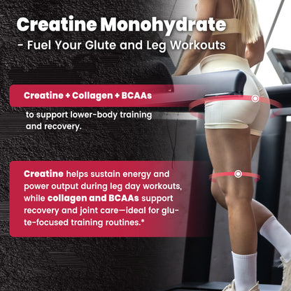 VEV Creatine Monohydrate Powder 5000mg with Collagen & BCAAs 2:1:1 – Creatine for Women, Supports Muscle Definition, Recovery, Energy & Workout Performance – Unflavored, Sugar-Free, 9.5oz, 30 Servings
