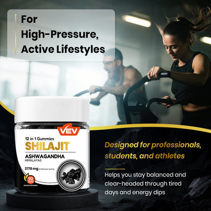 VEV Shilajit Gummies–90 Count